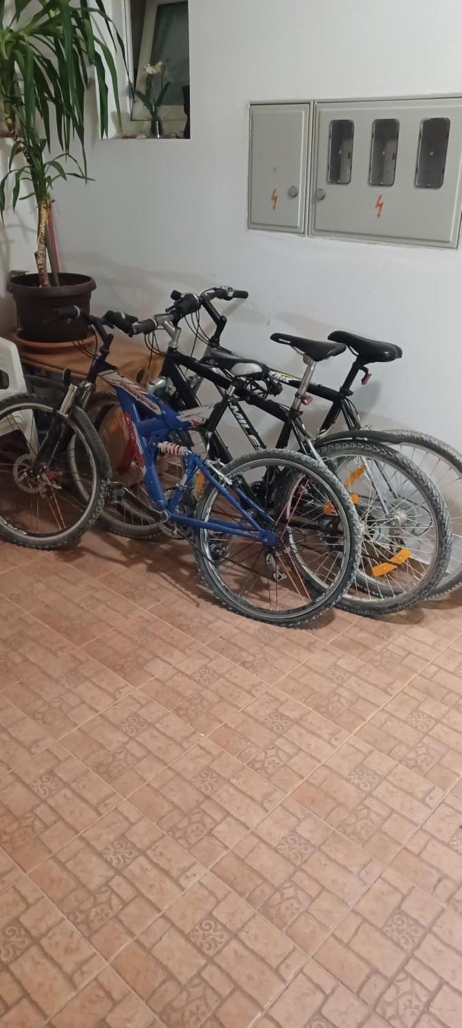 Kamenjak Free Bikes Apartment Premantura Luaran gambar